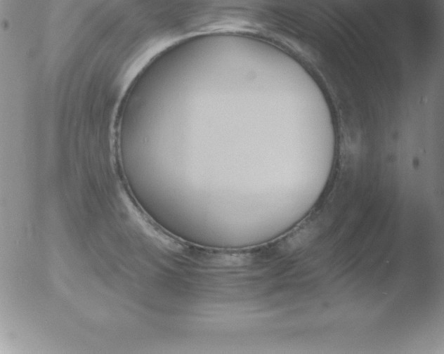 X0000051911423200507082018