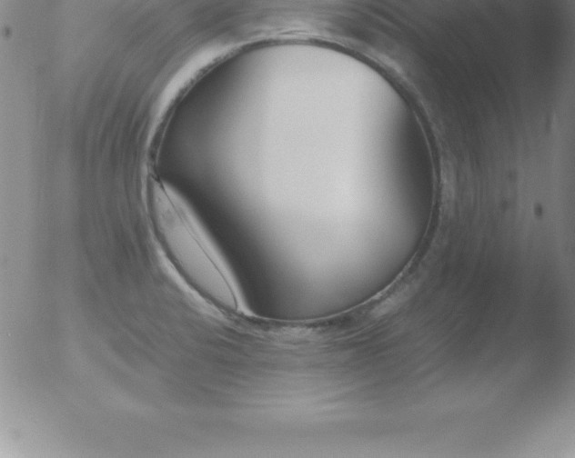 X0000051911424200507082018