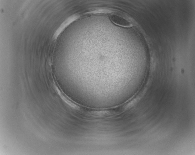 X0000051911425200507082018