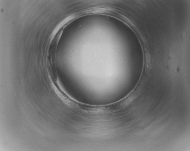 X0000051911426200507082018