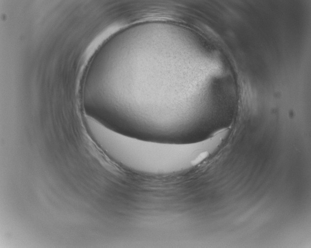 X0000051911427200507082018