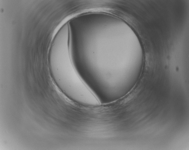 X0000051911428200507082018