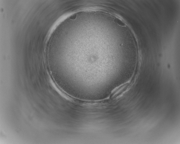 X0000051911429200507082018