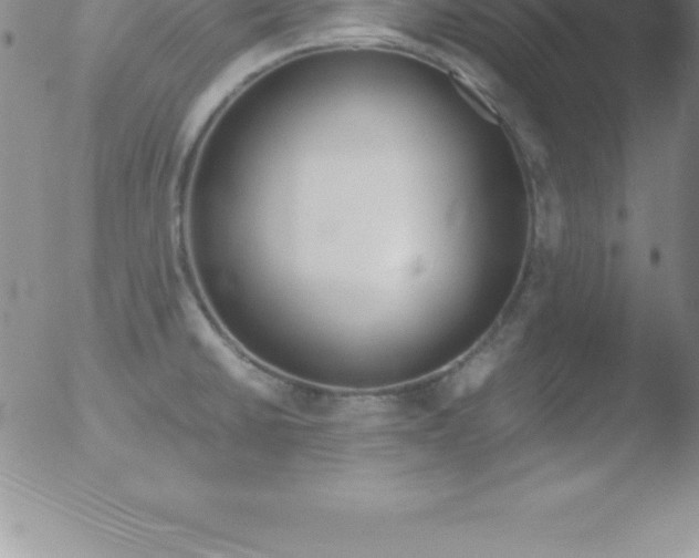 X0000051911430200507082018