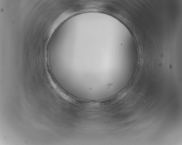 X0000051911431200507082018