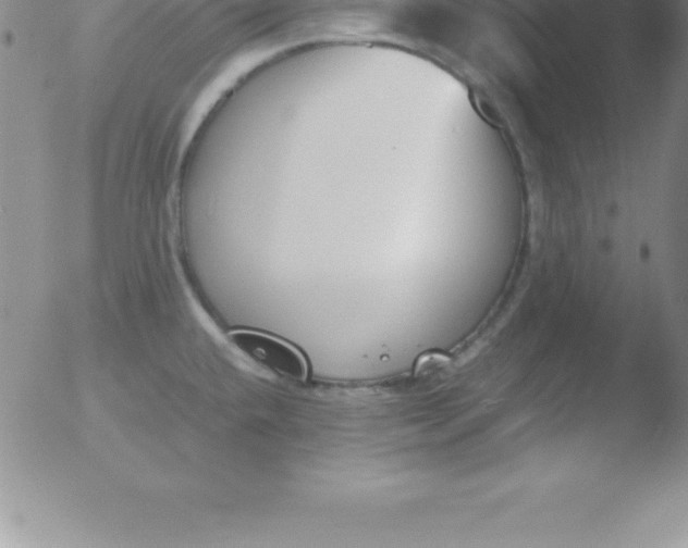 X0000051911432200507082018