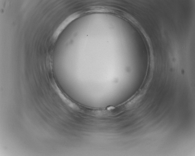 X0000051911433200507082018