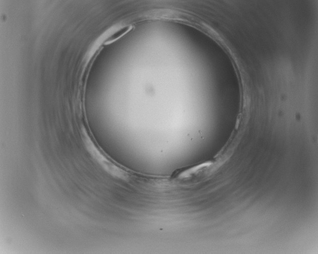 X0000051911434200507082018