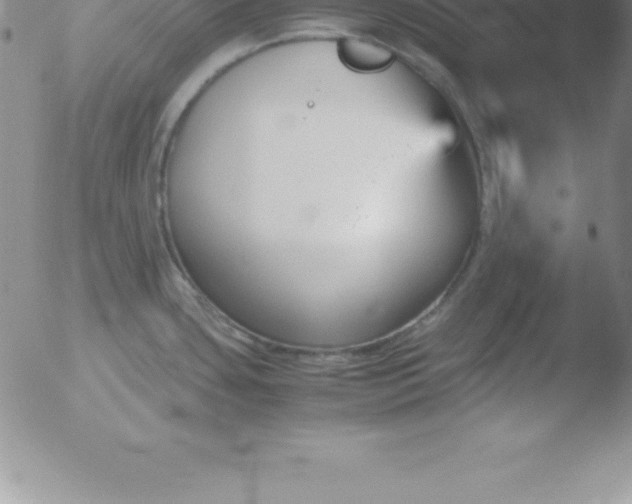 X0000051911435200507082018