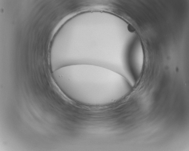 X0000051911436200507082018