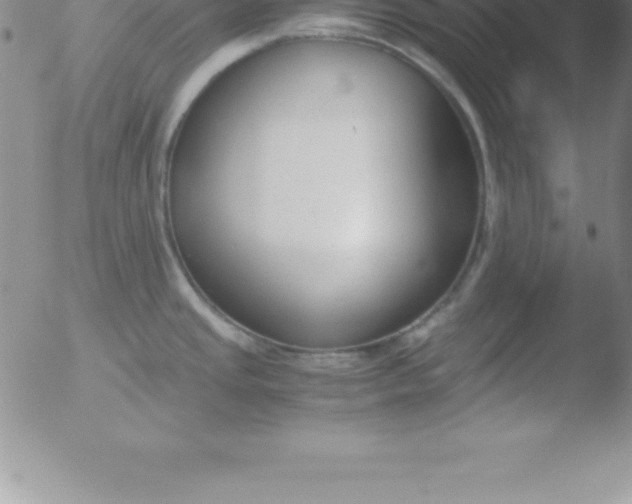 X0000051911437200507082018