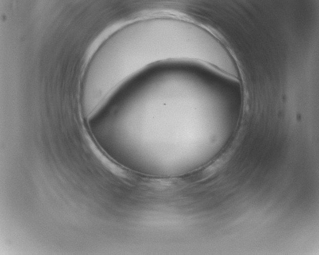 X0000051911438200507082018