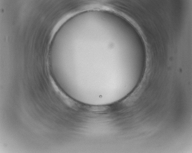 X0000051911440200507082018