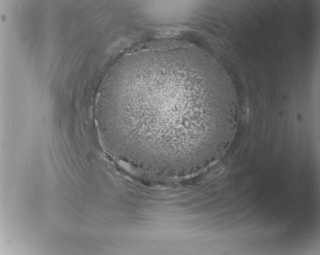 X0000051911441200507082017