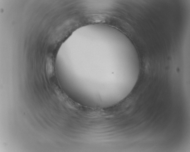 X0000051911442200507082017