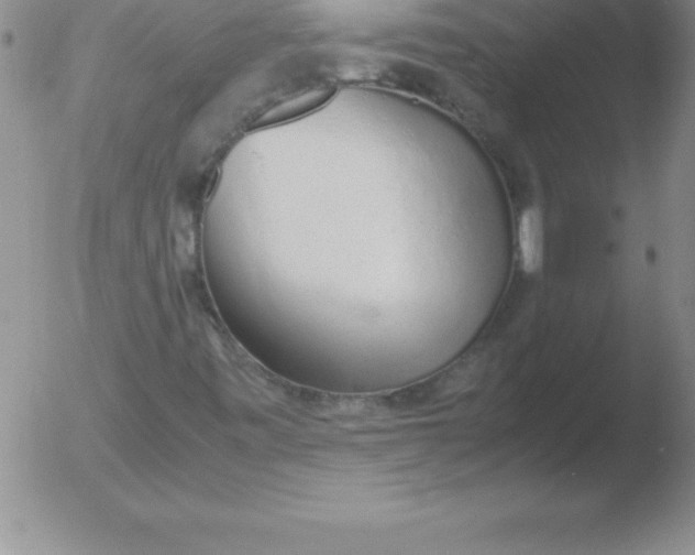 X0000051911443200507082017