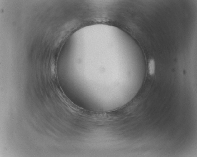 X0000051911444200507082017