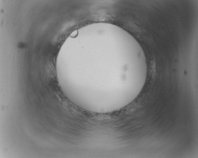 X0000051911446200507082017