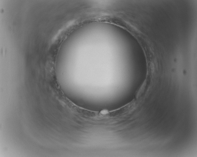 X0000051911447200507082017