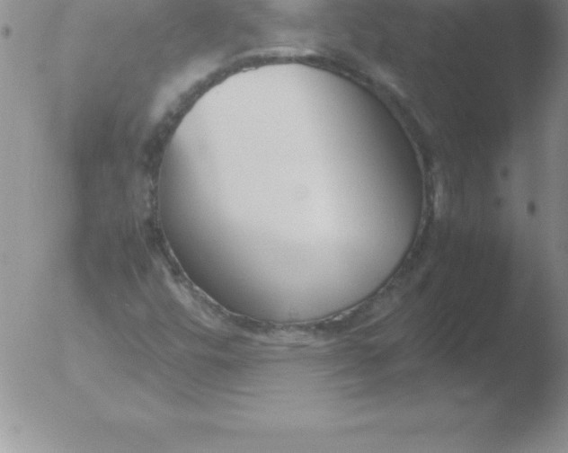 X0000051911448200507082017