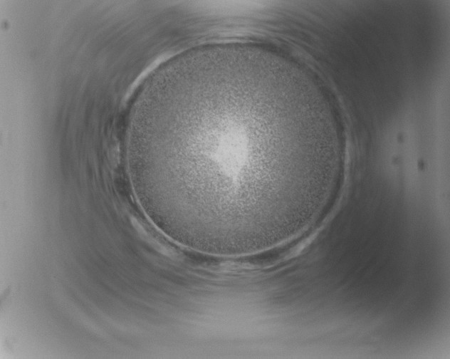 X0000051911449200507082017