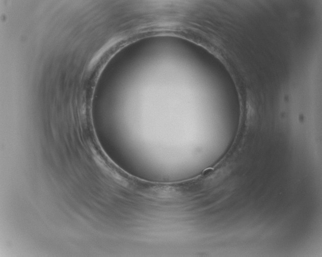 X0000051911450200507082017