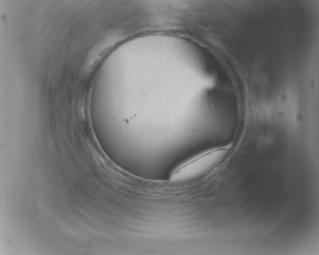 X0000051911451200507082017