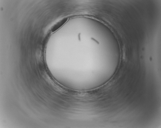 X0000051911452200507082017