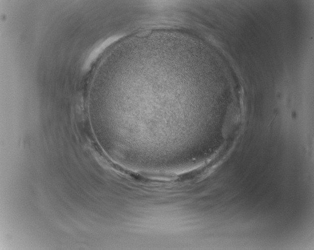 X0000051911453200507082017