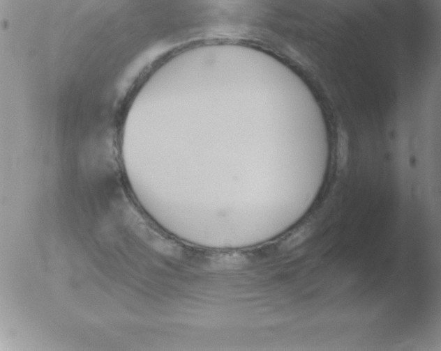 X0000051911454200507082017