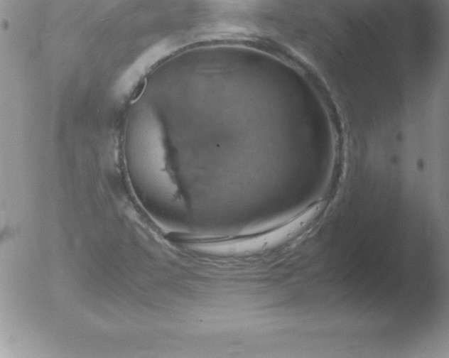 X0000051911455200507082017