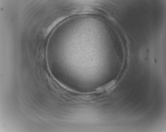 X0000051911457200507082017