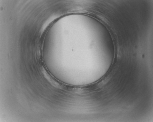 X0000051911458200507082017