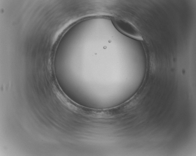 X0000051911460200507082017