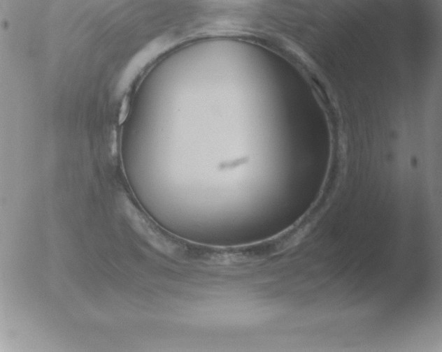 X0000051911461200507082017