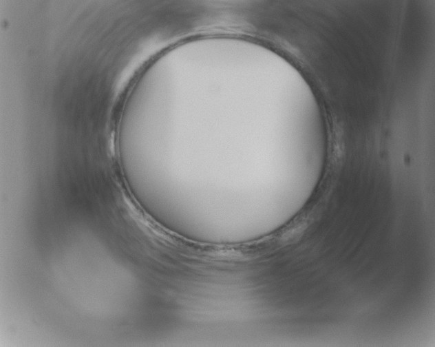 X0000051911462200507082017