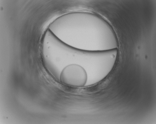 X0000051911463200507082017