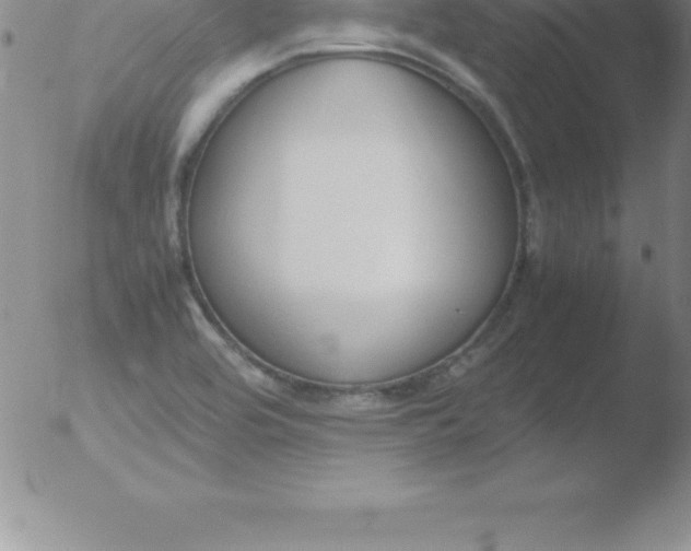 X0000051911464200507082017