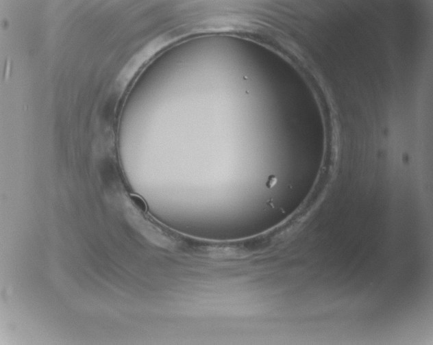 X0000051911465200507082017