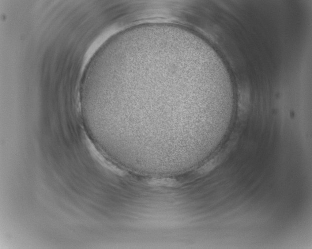 X0000051911466200507082017