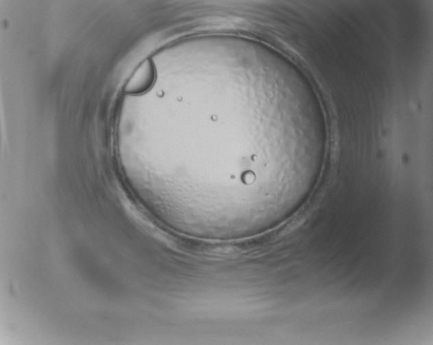 X0000051911467200507082017