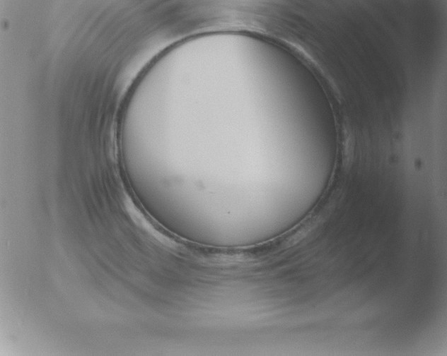 X0000051911468200507082017