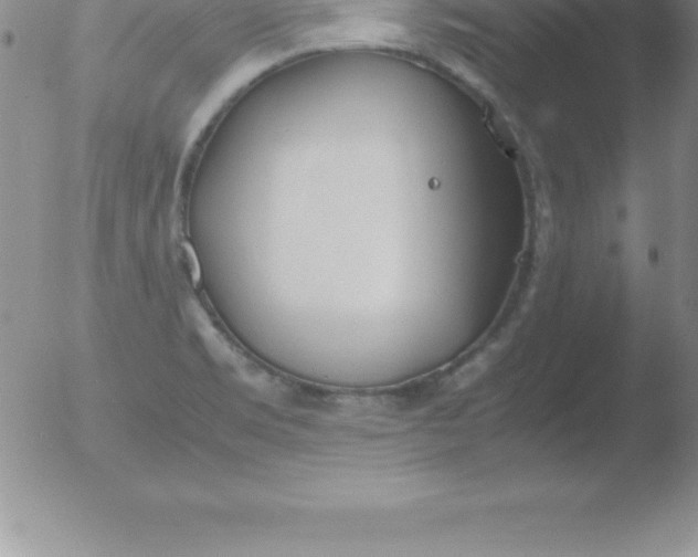 X0000051911469200507082017