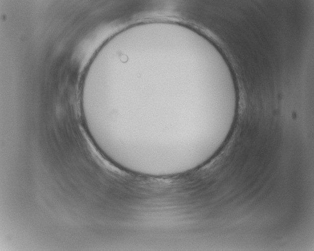 X0000051911470200507082017