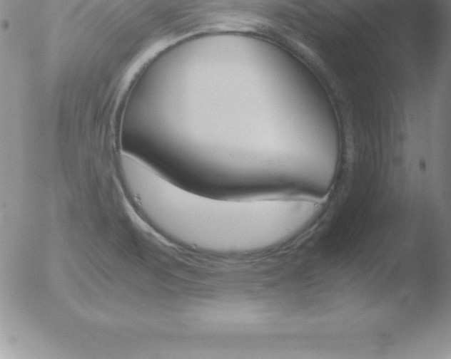 X0000051911471200507082017