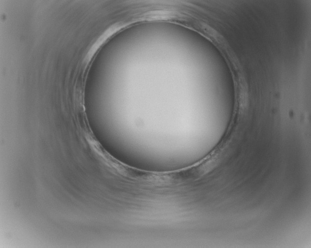 X0000051911473200507082017