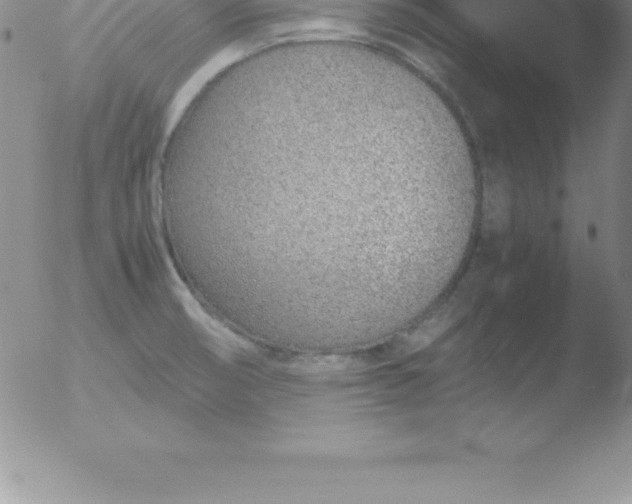 X0000051911474200507082017