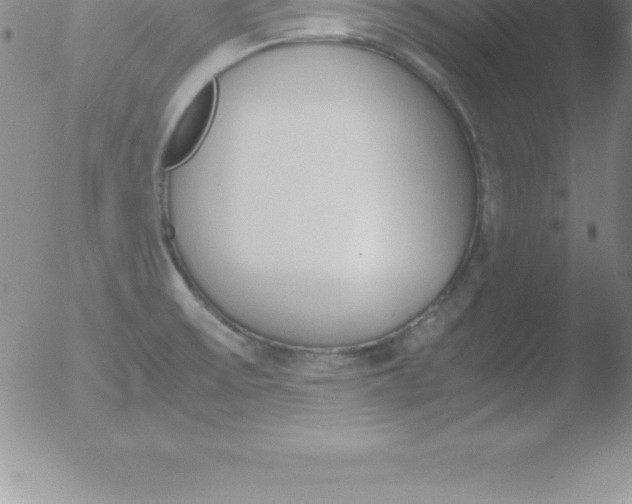 X0000051911475200507082017