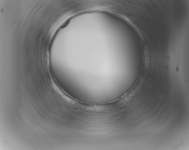 X0000051911476200507082017