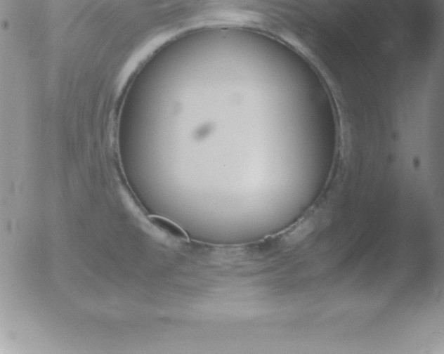 X0000051911477200507082017